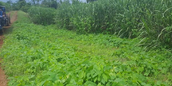 Marco A. Chaves Solera