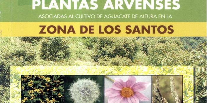 Karen Rojas y Fernando Ramírez