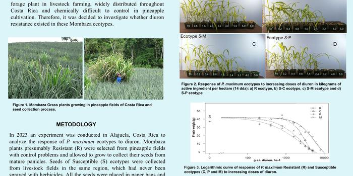 Osvaldo Quesada; Fernando Ramírez
