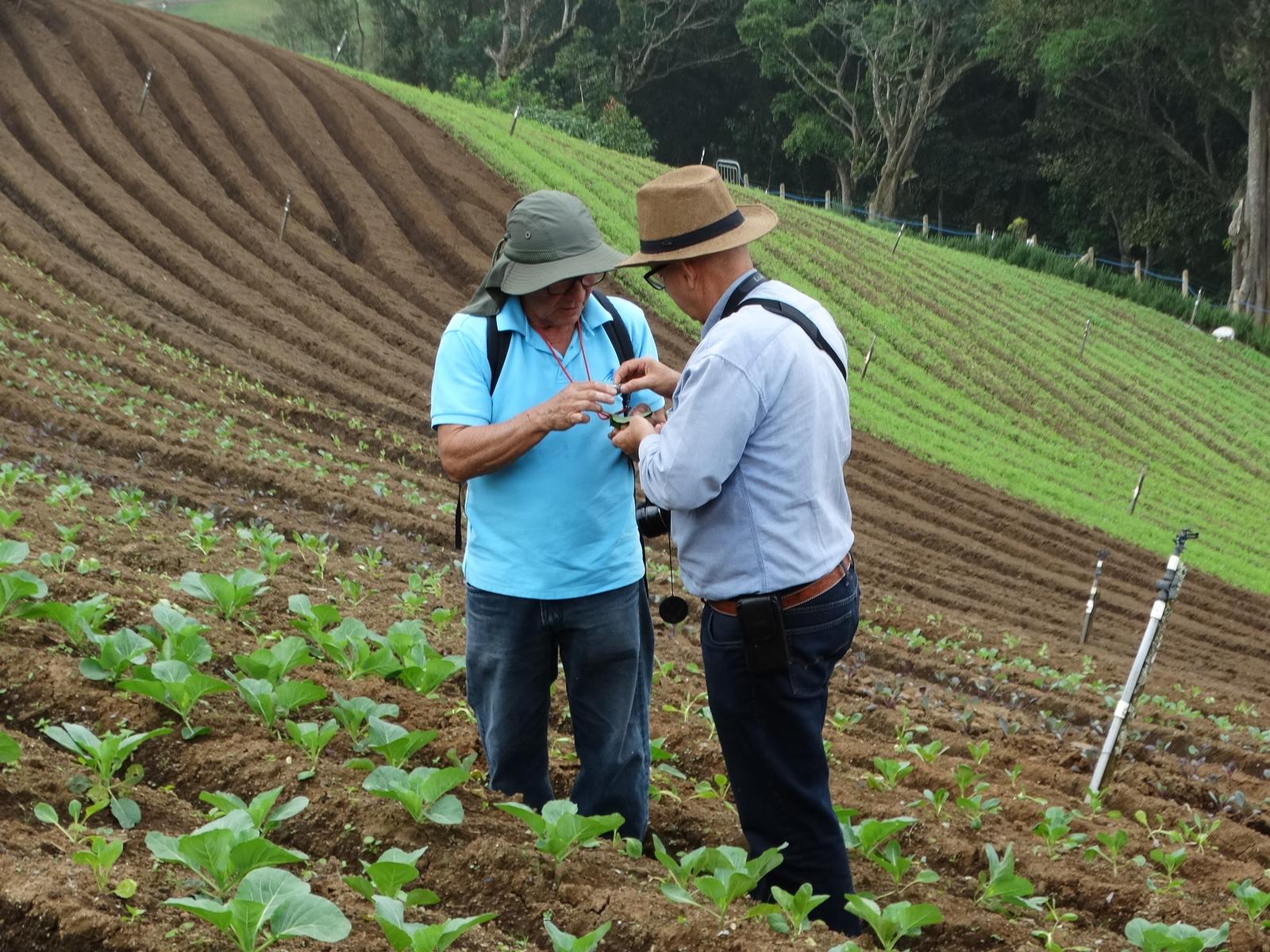 Finca Guadalupe, Zarcero 2017