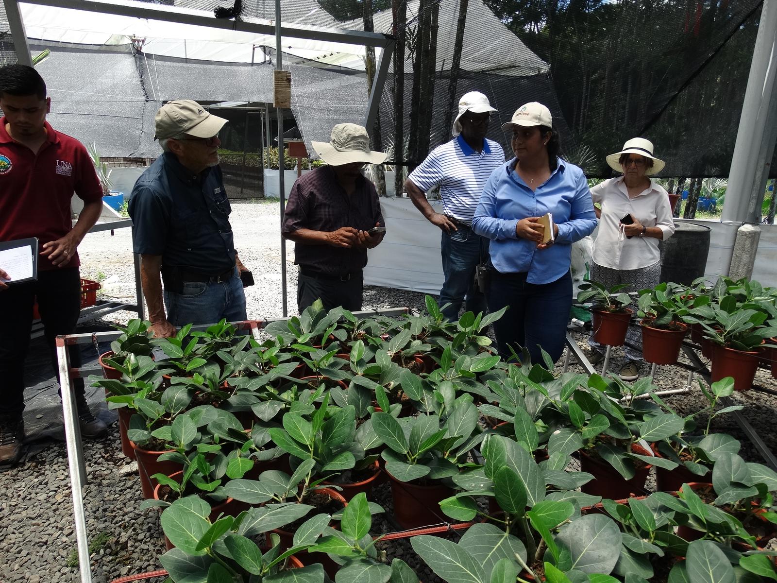 Finca Orocosta Agroindustrial. Horquetas, Sarapiquí. 23 de abril 2022.