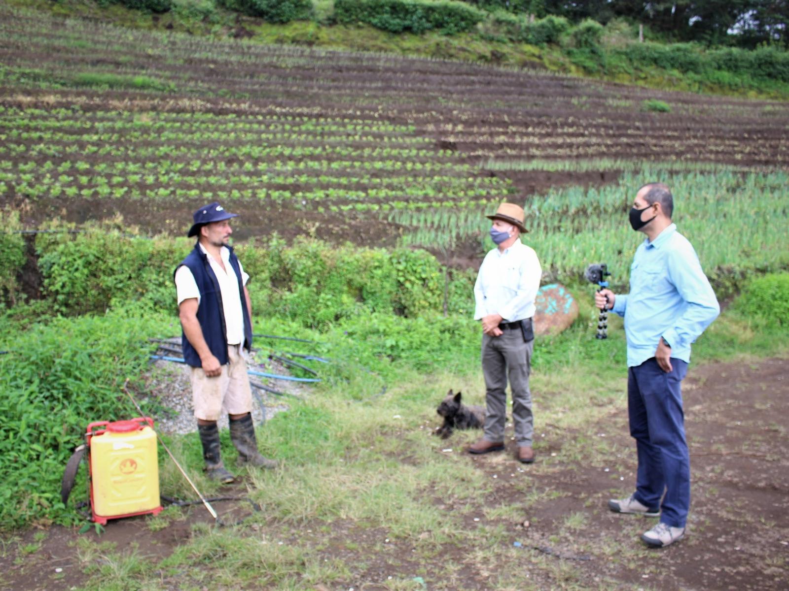 Zarcero, hortalizas. 14 de noviembre 2020.