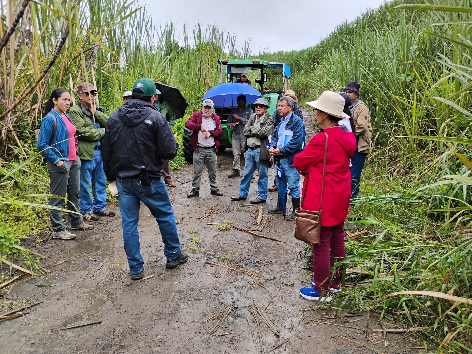 Hacienda Juan Viñas Julio 2025