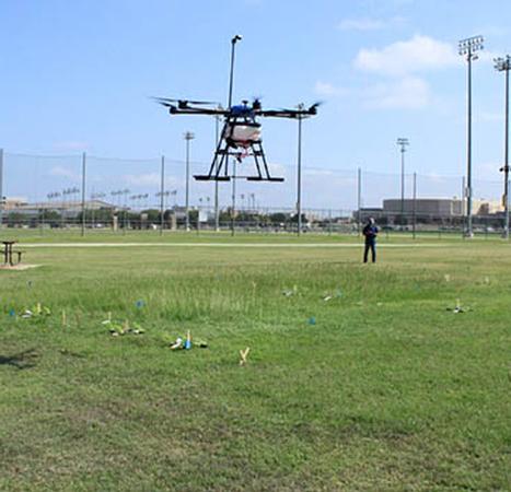 Sitio web de Weed Biology and Management